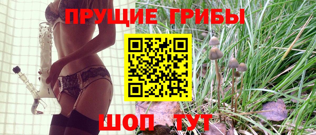 Галлюциногенные грибы Cubensis Электросталь